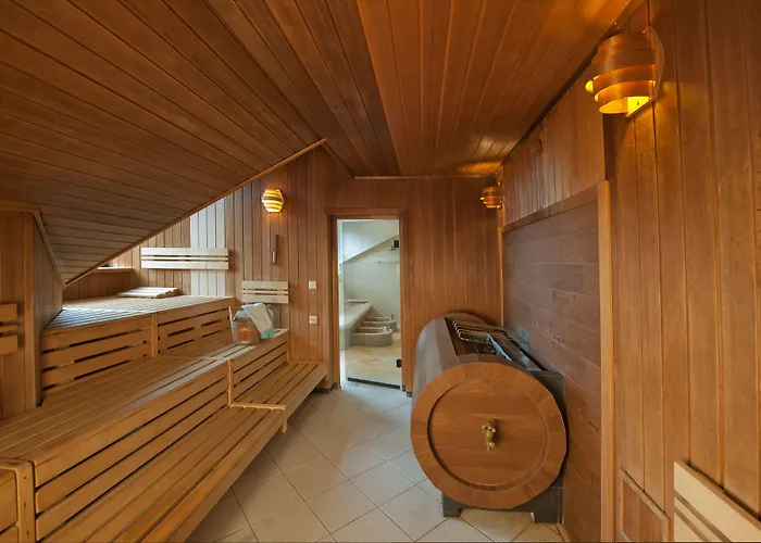 比尔瑞特酒店 4* 因斯布鲁克